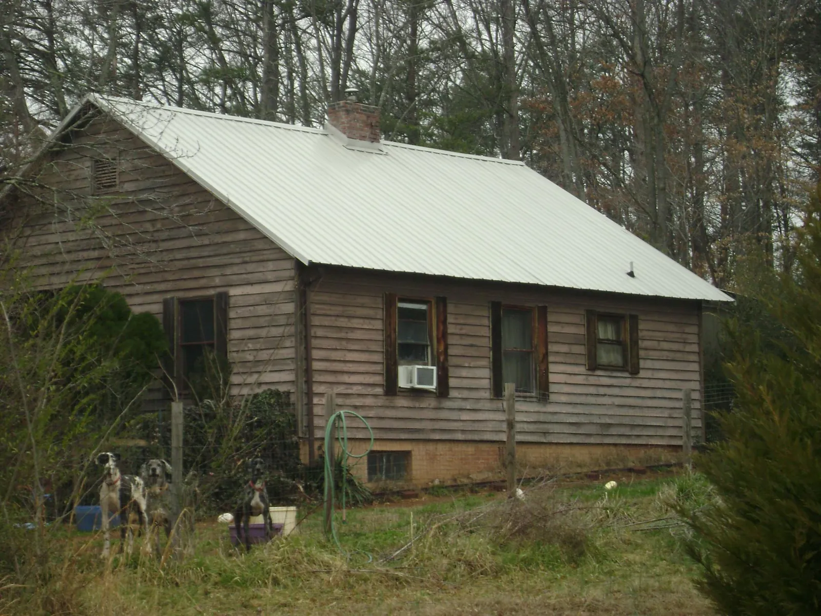 White metal roof on an old wood sided farmhouse, from a Asphalt Shingle Roof Repair job in Estes Park